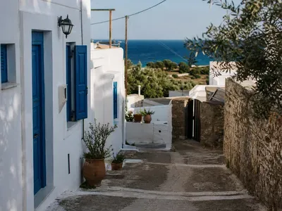 Argassi
