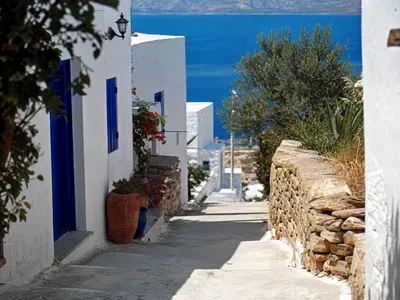 Arkadi